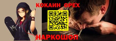 дмт Гай