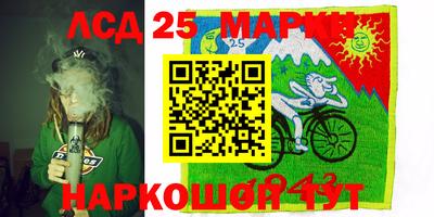 дмт Гай