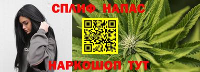 apvp Гагарин