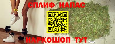 apvp Гагарин