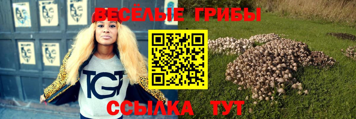 Белебей  Псилоцибиновые грибы мухоморы  наркошоп  Вход с VPN 